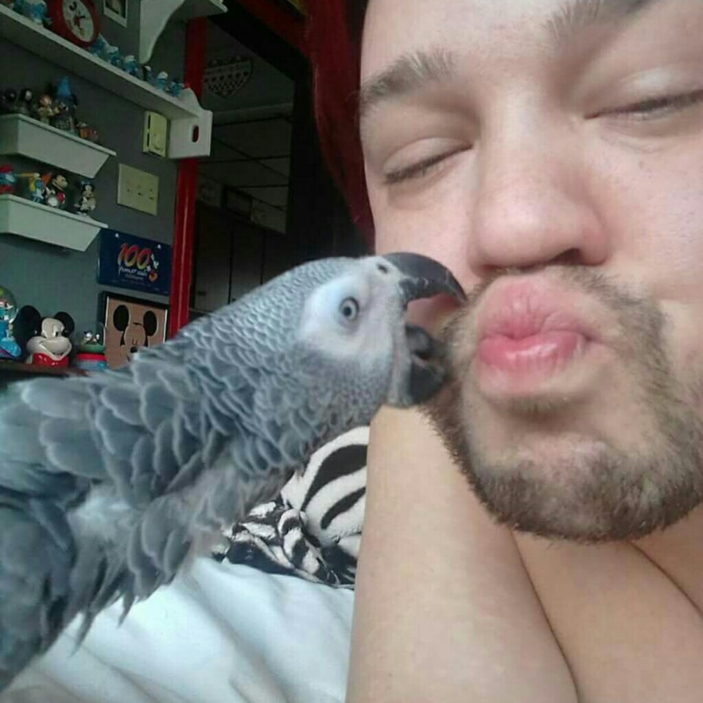 Meet your Posher, Nene